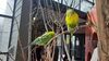 Filename=20210808_056.jpg
Filesize=467KiB
Dimensions=2048x1152
Date added=Dec 30, 2021 20210808_056.jpg