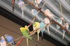 Filename=20210808_060.jpg
Filesize=262KiB
Dimensions=2048x1365
Date added=Dec 30, 2021 20210808_060.jpg