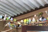 Filename=20210808_061.jpg
Filesize=381KiB
Dimensions=2048x1365
Date added=Dec 30, 2021 20210808_061.jpg