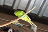 Filename=20210808_062.jpg
Filesize=205KiB
Dimensions=2048x1365
Date added=Dec 30, 2021 20210808_062.jpg
