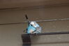 Filename=20210808_064.jpg
Filesize=145KiB
Dimensions=2048x1365
Date added=Dec 30, 2021 20210808_064.jpg
