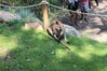 Filename=20210808_068.jpg
Filesize=712KiB
Dimensions=2048x1365
Date added=Dec 30, 2021 20210808_068.jpg