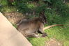 Filename=20210808_069.jpg
Filesize=689KiB
Dimensions=2048x1365
Date added=Dec 30, 2021 20210808_069.jpg