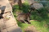 Filename=20210808_070.jpg
Filesize=553KiB
Dimensions=2048x1365
Date added=Dec 30, 2021 20210808_070.jpg