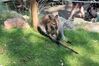 Filename=20210808_071.jpg
Filesize=660KiB
Dimensions=2048x1365
Date added=Dec 30, 2021 20210808_071.jpg