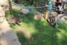 Filename=20210808_072.jpg
Filesize=716KiB
Dimensions=2048x1365
Date added=Dec 30, 2021 20210808_072.jpg