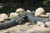 Filename=20210808_073.jpg
Filesize=575KiB
Dimensions=2048x1365
Date added=Dec 30, 2021 20210808_073.jpg