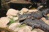 Filename=20210808_076.jpg
Filesize=668KiB
Dimensions=2048x1365
Date added=Dec 30, 2021 20210808_076.jpg