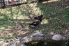 Filename=20210808_077.jpg
Filesize=840KiB
Dimensions=2048x1365
Date added=Dec 30, 2021 20210808_077.jpg