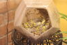 Filename=20210808_079.jpg
Filesize=337KiB
Dimensions=2048x1365
Date added=Dec 30, 2021 20210808_079.jpg
