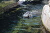 Filename=20210808_086.jpg
Filesize=391KiB
Dimensions=2048x1365
Date added=Dec 30, 2021 20210808_086.jpg