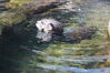 Filename=20210808_087.jpg
Filesize=413KiB
Dimensions=2048x1365
Date added=Dec 30, 2021 20210808_087.jpg