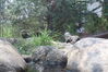 Filename=20210808_089.jpg
Filesize=613KiB
Dimensions=2048x1365
Date added=Dec 30, 2021 20210808_089.jpg
