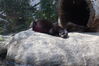 Filename=20210808_090.jpg
Filesize=537KiB
Dimensions=2048x1365
Date added=Dec 30, 2021 20210808_090.jpg