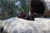 Filename=20210808_091.jpg
Filesize=543KiB
Dimensions=2048x1365
Date added=Dec 30, 2021 20210808_091.jpg
