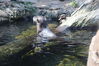 Filename=20210808_092.jpg
Filesize=411KiB
Dimensions=2048x1365
Date added=Dec 30, 2021 20210808_092.jpg