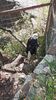 Filename=20210808_093.jpg
Filesize=722KiB
Dimensions=1152x2048
Date added=Dec 30, 2021 20210808_093.jpg