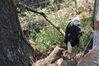 Filename=20210808_094.jpg
Filesize=673KiB
Dimensions=2048x1365
Date added=Dec 30, 2021 20210808_094.jpg
