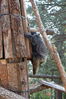 Filename=20210808_095.jpg
Filesize=619KiB
Dimensions=1365x2048
Date added=Dec 30, 2021 20210808_095.jpg
