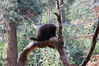Filename=20210808_096.jpg
Filesize=621KiB
Dimensions=2048x1365
Date added=Dec 30, 2021 20210808_096.jpg