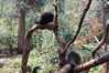 Filename=20210808_097.jpg
Filesize=766KiB
Dimensions=2048x1365
Date added=Dec 30, 2021 20210808_097.jpg
