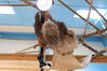 Filename=20210808_098.jpg
Filesize=359KiB
Dimensions=2048x1365
Date added=Dec 30, 2021 20210808_098.jpg
