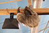 Filename=20210808_099.jpg
Filesize=306KiB
Dimensions=2048x1365
Date added=Dec 30, 2021 20210808_099.jpg