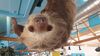 Filename=20210808_100.jpg
Filesize=359KiB
Dimensions=2048x1152
Date added=Dec 30, 2021 20210808_100.jpg