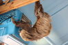 Filename=20210808_101.jpg
Filesize=343KiB
Dimensions=2048x1365
Date added=Dec 30, 2021 20210808_101.jpg