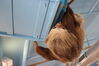 Filename=20210808_102.jpg
Filesize=285KiB
Dimensions=2048x1365
Date added=Dec 30, 2021 20210808_102.jpg