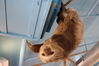 Filename=20210808_103.jpg
Filesize=261KiB
Dimensions=2048x1365
Date added=Dec 30, 2021 20210808_103.jpg