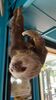 Filename=20210808_105.jpg
Filesize=331KiB
Dimensions=1152x2048
Date added=Dec 30, 2021 20210808_105.jpg