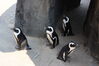Filename=20210808_112.jpg
Filesize=448KiB
Dimensions=2048x1365
Date added=Dec 30, 2021 20210808_112.jpg