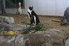 Filename=20210808_113.jpg
Filesize=304KiB
Dimensions=2048x1365
Date added=Dec 30, 2021 20210808_113.jpg