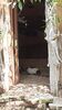 Filename=20210808_114.jpg
Filesize=367KiB
Dimensions=1152x2048
Date added=Dec 30, 2021 20210808_114.jpg