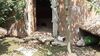 Filename=20210808_116.jpg
Filesize=578KiB
Dimensions=2048x1152
Date added=Dec 30, 2021 20210808_116.jpg