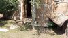 Filename=20210808_117.jpg
Filesize=605KiB
Dimensions=2048x1152
Date added=Dec 30, 2021 20210808_117.jpg