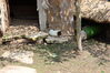 Filename=20210808_118.jpg
Filesize=748KiB
Dimensions=2048x1365
Date added=Dec 30, 2021 20210808_118.jpg