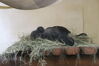 Filename=20210808_122.jpg
Filesize=367KiB
Dimensions=2048x1365
Date added=Dec 30, 2021 20210808_122.jpg