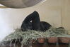 Filename=20210808_123.jpg
Filesize=367KiB
Dimensions=2048x1365
Date added=Dec 30, 2021 20210808_123.jpg