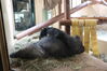 Filename=20210808_124.jpg
Filesize=400KiB
Dimensions=2048x1365
Date added=Dec 30, 2021 20210808_124.jpg