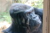 Filename=20210808_126.jpg
Filesize=284KiB
Dimensions=2048x1365
Date added=Dec 30, 2021 20210808_126.jpg