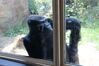 Filename=20210808_127.jpg
Filesize=377KiB
Dimensions=2048x1365
Date added=Dec 30, 2021 20210808_127.jpg