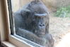 Filename=20210808_129.jpg
Filesize=279KiB
Dimensions=2048x1365
Date added=Dec 30, 2021 20210808_129.jpg