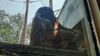 Filename=20210808_130.jpg
Filesize=473KiB
Dimensions=2048x1152
Date added=Dec 30, 2021 20210808_130.jpg