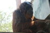Filename=20210808_131.jpg
Filesize=244KiB
Dimensions=2048x1365
Date added=Dec 30, 2021 20210808_131.jpg