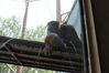 Filename=20210808_132.jpg
Filesize=300KiB
Dimensions=2048x1365
Date added=Dec 30, 2021 20210808_132.jpg