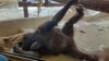 Filename=20210808_133.jpg
Filesize=254KiB
Dimensions=2048x1152
Date added=Dec 30, 2021 20210808_133.jpg