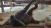 Filename=20210808_134.jpg
Filesize=318KiB
Dimensions=2048x1152
Date added=Dec 30, 2021 20210808_134.jpg