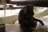 Filename=20210808_135.jpg
Filesize=280KiB
Dimensions=2048x1365
Date added=Dec 30, 2021 20210808_135.jpg